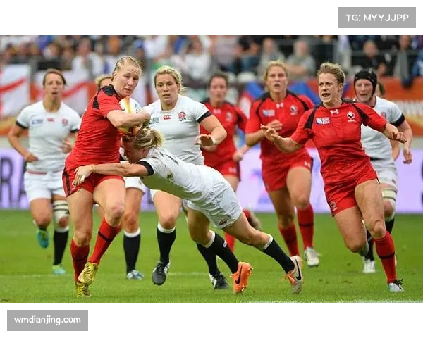 威尔士球队巴拉镇欧协联资格赛经历值得铭记